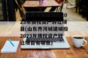 山东齐河城建城投2023年债权资产转让项目(山东齐河城建城投2023年债权资产转让项目有哪些)