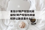 青岛SY财产权信托收益权(财产权信托收益权转让融资是什么)