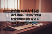 政府债-临沂市河东区汤头温泉开发资产收益权定融项目(临沂汤头温泉度假村位置)