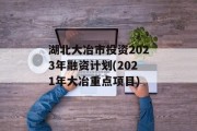 湖北大冶市投资2023年融资计划(2021年大冶重点项目)