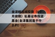 金泽精选城投债（6个月续期）私募证券投资基金(金泽集团是干什么的)