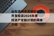 山东滨州市滨城区经济开发投资2024年债权资产定融计划的简单介绍