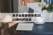 关于山东邹城城资2023债权的信息
