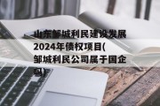山东邹城利民建设发展2024年债权项目(邹城利民公司属于国企吗)