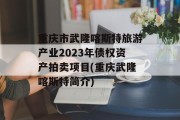 重庆市武隆喀斯特旅游产业2023年债权资产拍卖项目(重庆武隆喀斯特简介)