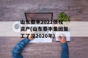 山东泰丰2022债权资产(山东泰丰集团复工了没2020年)