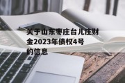 关于山东枣庄台儿庄财金2023年债权4号的信息