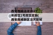 西安西咸泾河2023年政信1号政信定融(西安西咸新区泾河新城)