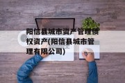 阳信县城市资产管理债权资产(阳信县城市管理有限公司)