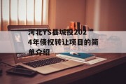 河北YS县城投2024年债权转让项目的简单介绍