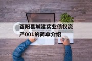 酉阳县城建实业债权资产001的简单介绍