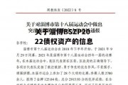 关于淄博BSZP2022债权资产的信息