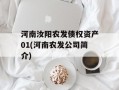 河南汝阳农发债权资产01(河南农发公司简介)