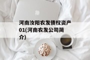 河南汝阳农发债权资产01(河南农发公司简介)