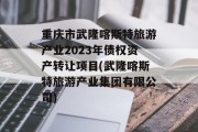 重庆市武隆喀斯特旅游产业2023年债权资产转让项目(武隆喀斯特旅游产业集团有限公司)