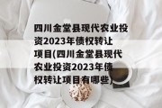 四川金堂县现代农业投资2023年债权转让项目(四川金堂县现代农业投资2023年债权转让项目有哪些)