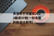 天津市宁河建投2023融资计划(一份完整的融资计划书)