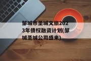 邹城市圣城文旅2023年债权融资计划(邹城圣城公司盛来)