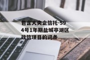 包含大央企信托-594号1年期盐城亭湖区政信项目的词条