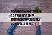陕西西安泾河产发投资2023融资项目(陕西西安泾河产发投资2023融资项目开工)