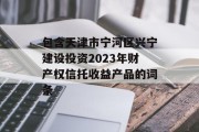 包含天津市宁河区兴宁建设投资2023年财产权信托收益产品的词条