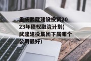 重庆武隆建设投资2023年债权融资计划(武隆建投集团下属哪个公司最好)