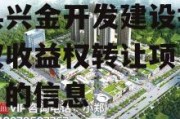 关于成都花园水城·金堂县兴金开发建设投资债权收益权转让项目【六】的信息