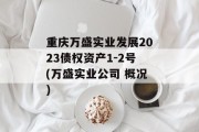 重庆万盛实业发展2023债权资产1-2号(万盛实业公司 概况)