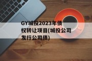 GY城投2023年债权转让项目(城投公司发行公司债)