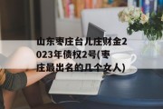 山东枣庄台儿庄财金2023年债权2号(枣庄最出名的几个女人)
