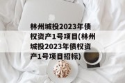 林州城投2023年债权资产1号项目(林州城投2023年债权资产1号项目招标)