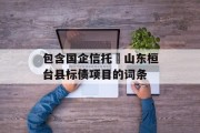 包含国企信托•山东桓台县标债项目的词条