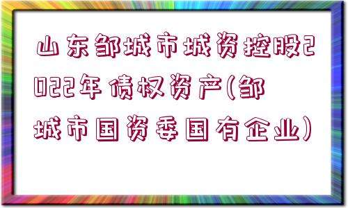 洛阳西苑国资债权资产(洛阳市国资委最新控股公司)