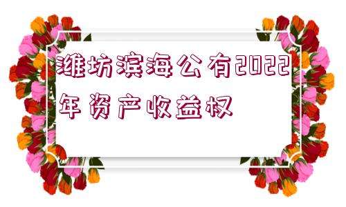 青州市宏源公有资产2022年债权(青州宏源实业有限公司)