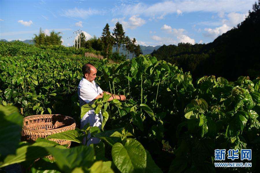 重庆奉节县三峡库区生态产业发展企业信用资产产品(重庆市奉节县现代农业产业园)