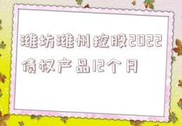 天津蓟州新城债权2号(天津市蓟州新城投资有限公司)