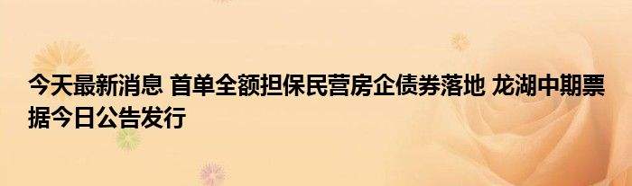 山东青州市宏源公有资产2022年债权(青州市城市建设投资开发有限公司 发行债券)