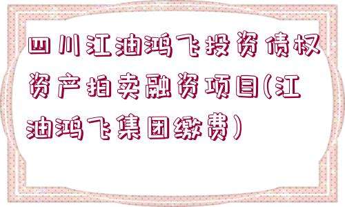 江油鸿飞投资债权资产拍卖融资项目的简单介绍