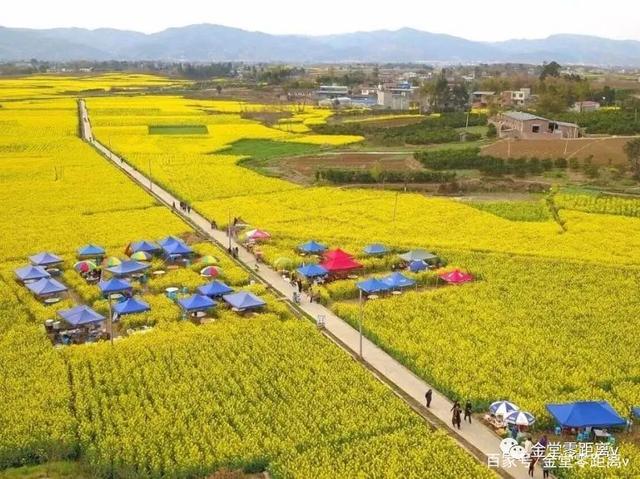 四川成都金堂县国有资产投资经营债权转让项目的简单介绍