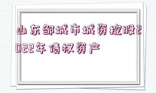 山东方诚建设开发2022年债权(山东方诚建设开发有限公司董事长)