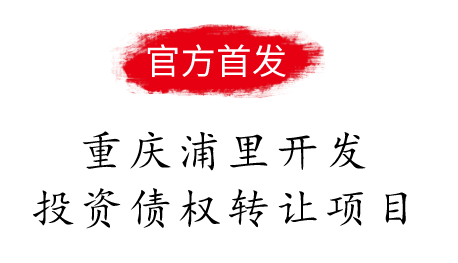 天津兴宁建投债权转让计划(天津市宁河区兴宁建设投资集团有限公司)