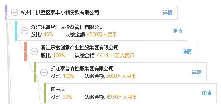 SD泰丰控股债权资产01/02项目第X期（X=1、2、3...）的简单介绍