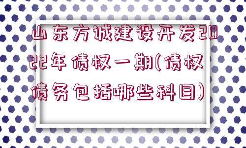 山东淄博BSZP2022年债权资产的简单介绍