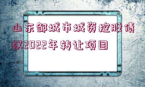 关于江油鸿飞投资债券(应收账款)转让项目的信息