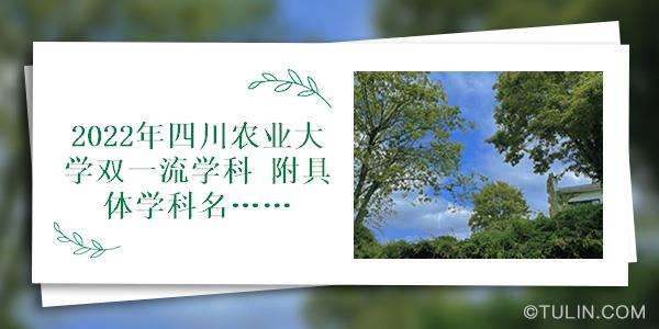 包含四川江油星乙农业投资债权资产（2022年）的词条