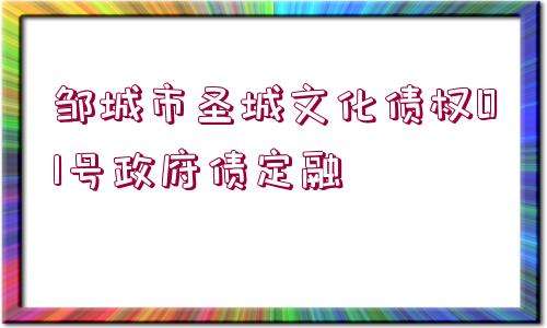 山东德州齐河城市经营建设投资2022年债权01/02项目第一期的简单介绍