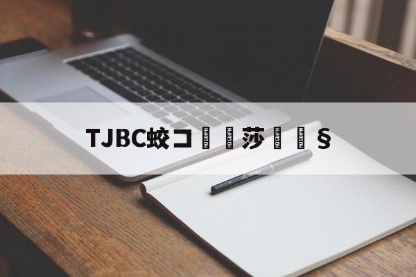 TJBC债权资产(非标准化债权类资产包括)