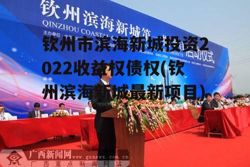 钦州市滨海新城投资2022收益权债权(钦州滨海新城最新项目)