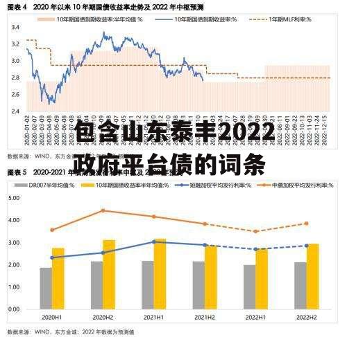 包含山东泰丰2022政府平台债的词条