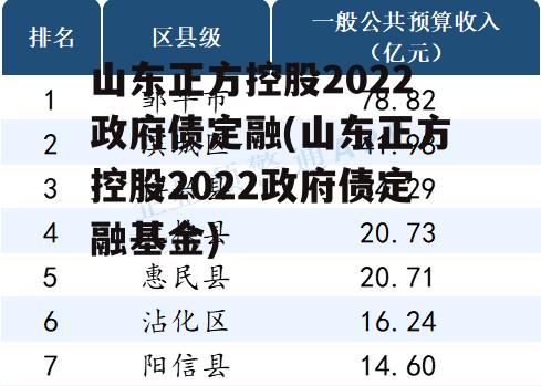 山东正方控股2022政府债定融(山东正方控股2022政府债定融基金)